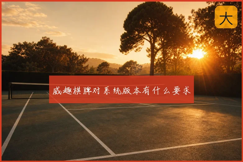 威趣棋牌对系统版本有什么要求